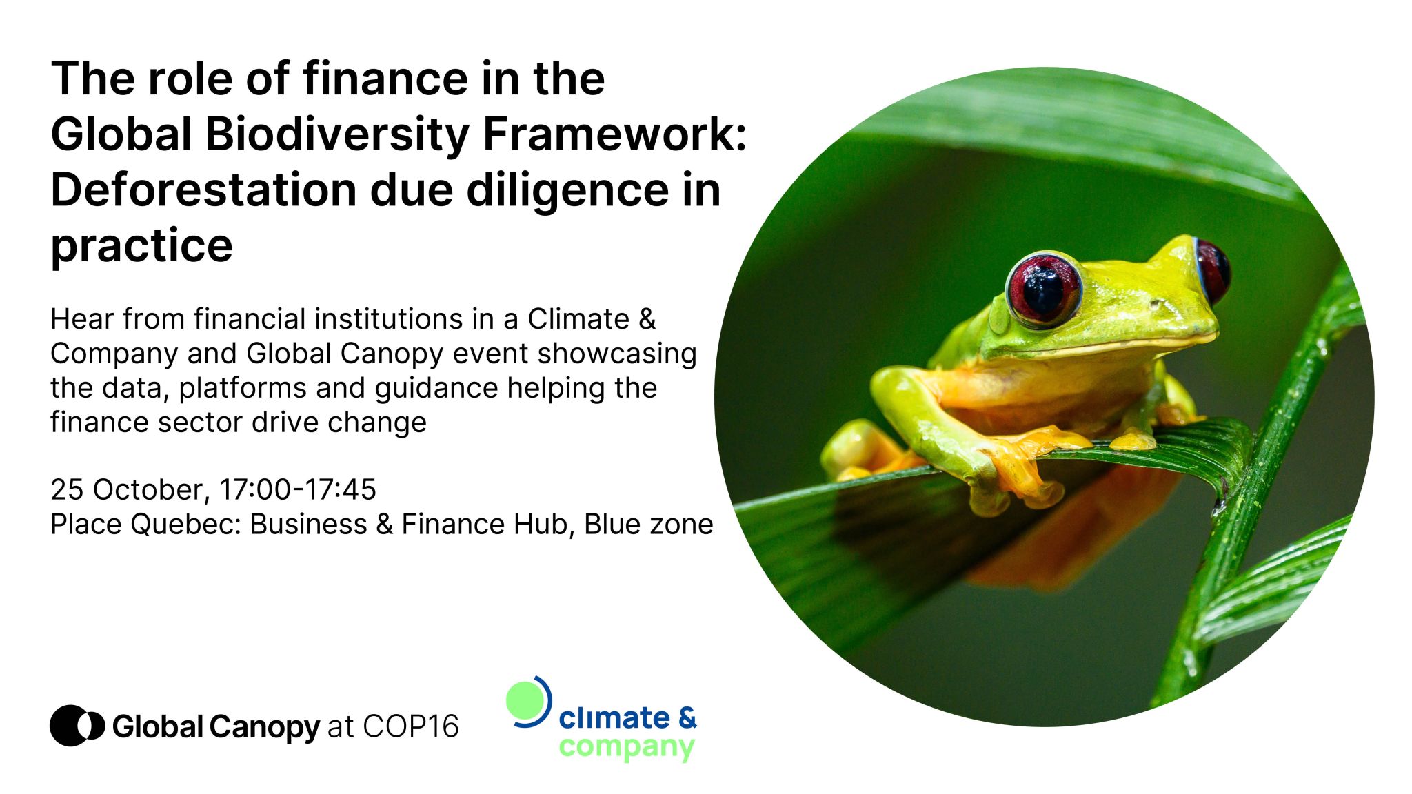 The role of finance in the Global Biodiversity Framework: Deforestation ...
