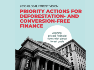 Report: Priority Actions for Deforestation- and Conversion-Free Finance ...