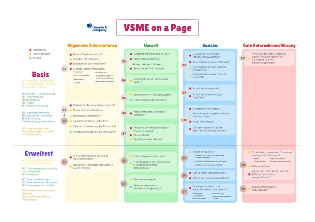 thumbnail of VSME on a Page